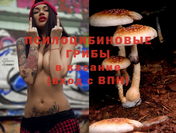 альфа пвп VHQ Дмитриев