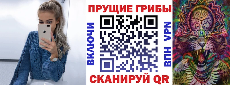 цены наркотик  omg tor  Псилоцибиновые грибы Psilocybe  Окуловка 